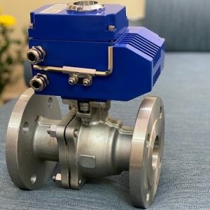 Van bi đạt tiêu chuẩn ansi là gì